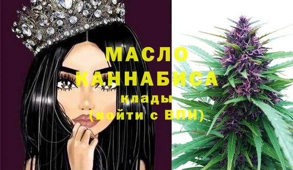 дмт Абаза