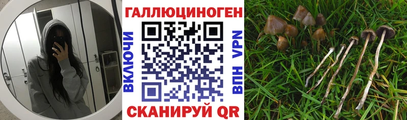 как найти наркотики  Ужур  МЕГА ссылки  Галлюциногенные грибы ЛСД 